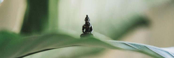 Buddha-unsplash-cropped