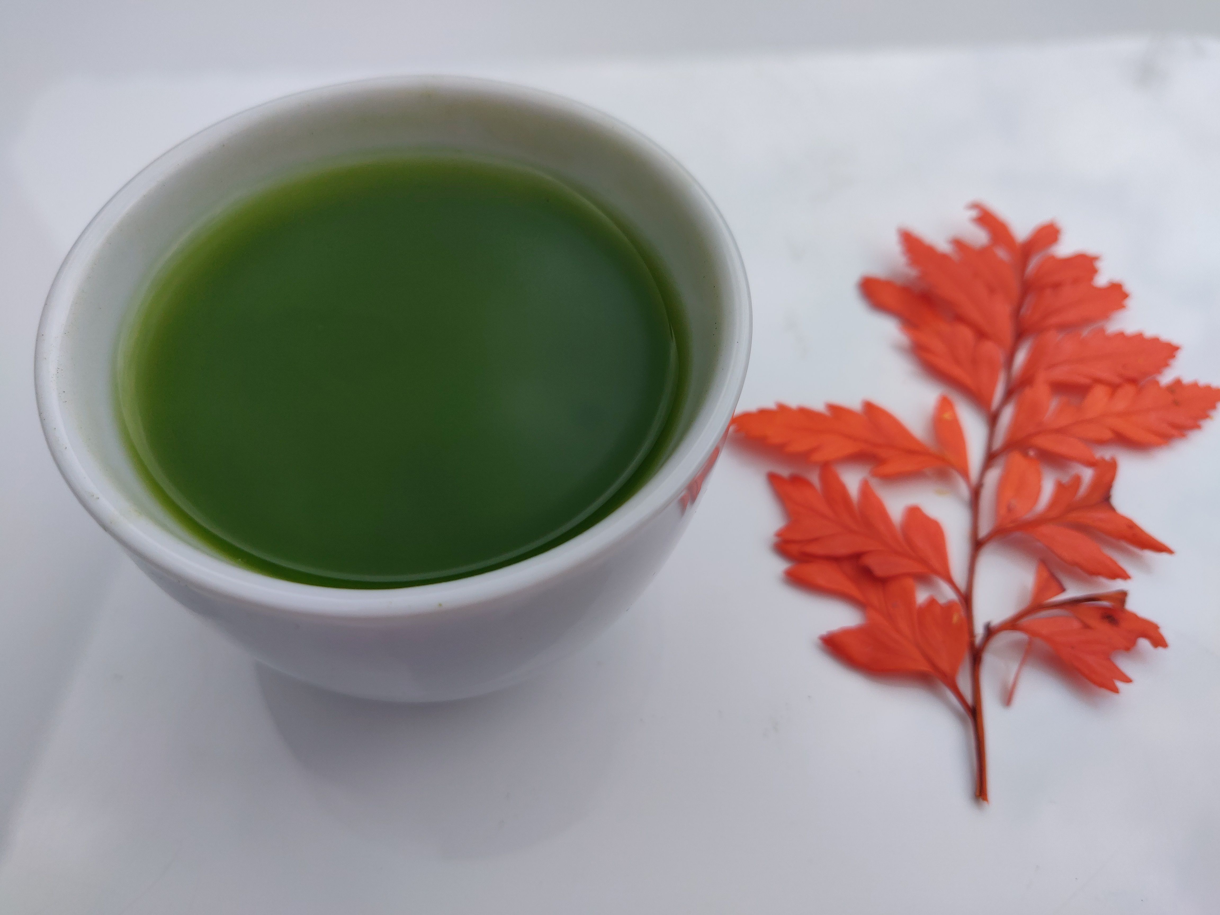 Autumn-Tea-Ceremony-Qigong-and-Meditation-London-UK