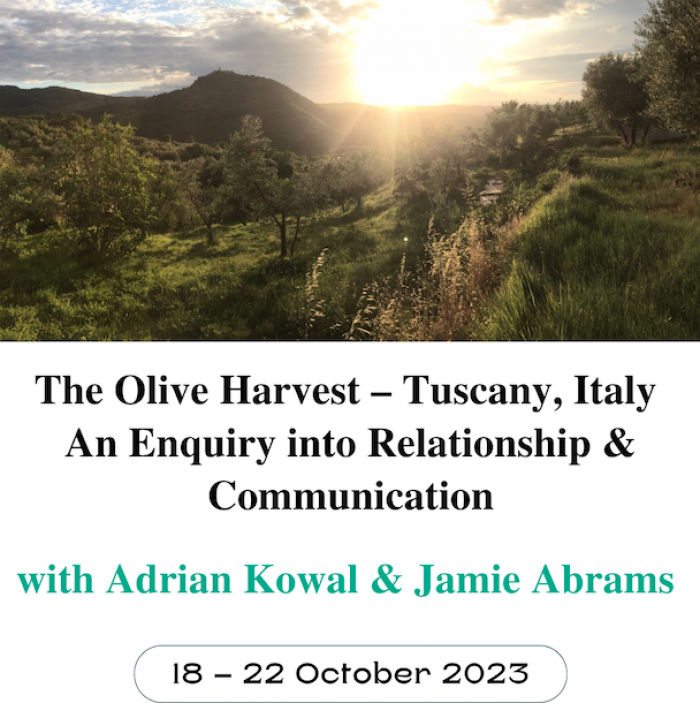 Olive-harvest-retreat-smaller2