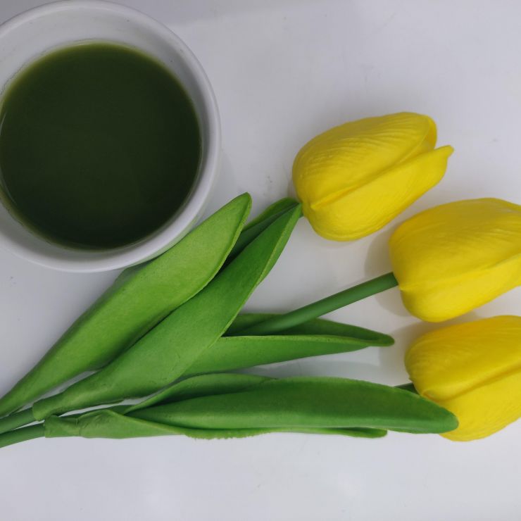 Opening-to-Spring-Tea-Ceremony-Qigong-Meditation2