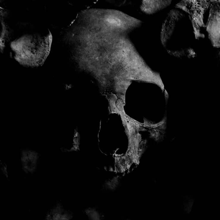 Skull-image