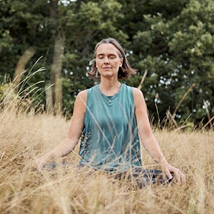 Joyce-meditation-2026