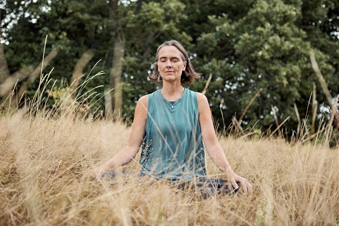 Joyce-meditation-2026