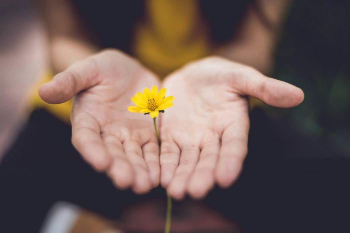 Healing-2-unsplash