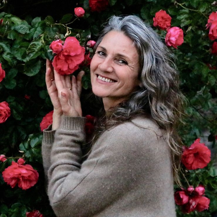 Erikas-Rose-photo