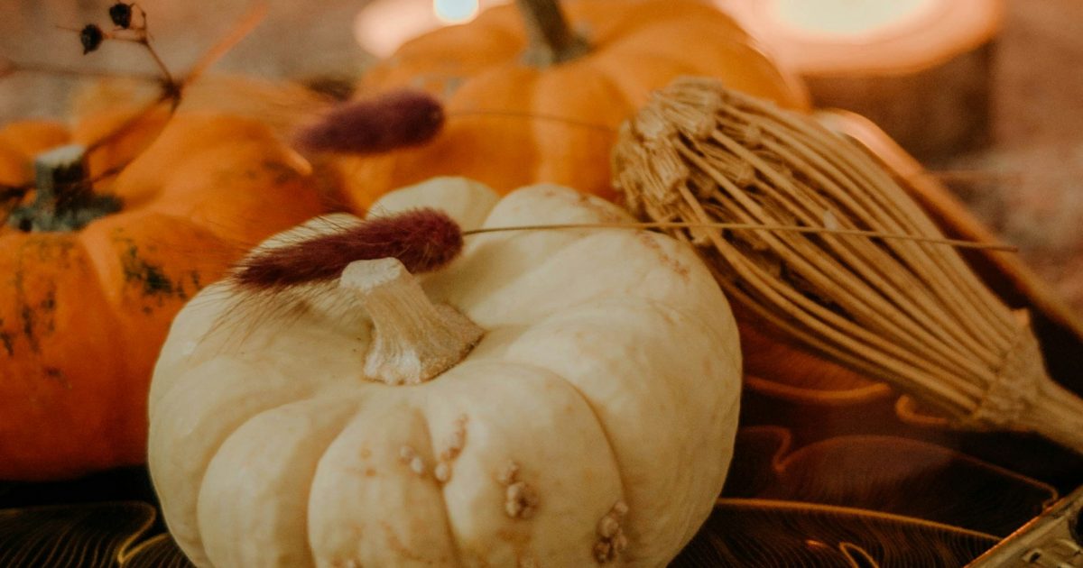 Samhain: cacao, yin yoga & sound bath